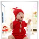 레몬트리 이미지