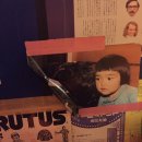 수선화카페 이미지