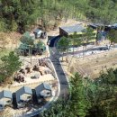 용지봉자연휴양림(김해) 이미지