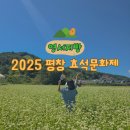 진부관광농원 | 강원도 평창 가볼만한곳 봉평 메밀꽃축제 2025 평창 효석문화제 방문 후기 주차 및 메밀꽃 포토존