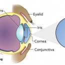 24시알파동물메디컬센터 이미지