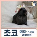 광주TNR동물병원(송정) 이미지