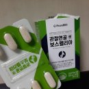 보스웰리아 연구결과와 부작용에 대한 주의점 공개! 관절연골엔 보스웰리아 효능과 최저가 BEST 후기보기
