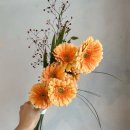 라프티 | 촬영 부케 | 가성비 생화부케 ‘라프티플레르’ 촬영부케 예약 후기 (호접부케, 서브부케)