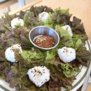 샤브드림 이미지