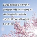 사계절 이미지