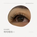 어내들로 이미지