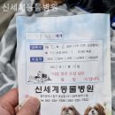 신세계 동물병원 | 동구 동물병원 신세계동물병원 솔직후기
