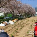 박하향기협동조합 이미지