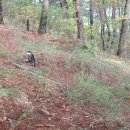 매전면사무소 이미지