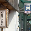 강원특별자치도 영월군 주천면사무소 | 우연히 발견 후 한눈에 반한 너무 예쁜 감성 카페 영월 유목정903 (한옥 테라스)