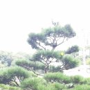 소사농장 이미지