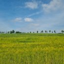 차랑농장 이미지