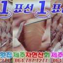 표선중앙로 이미지