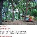 (서울 근처 캠핑) 다양한 체험프로그램과 함께하는 양평청운캠핑장! 이미지