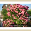 아이커뮤니케이션 이미지