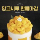 시루 - 종로구 | 시루