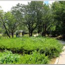 황령산레포츠공원(생태공원) 이미지