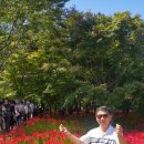 영광잔디 이미지