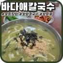 바다애칼국수 | [포항장량] 바다애칼국수 포항법원 인근 보말전문점 점심맛집 내돈내산 후기(+평일웨이팅)