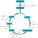 2CYCLE(2싸이클) 이미지