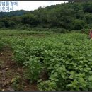 아주경로당(웅양면) 이미지