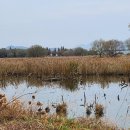 고민 행정사 사무소 이미지