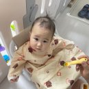 6개월 아기 자기주도 이유식 시작 준비물 모윰 이유식가운 추천