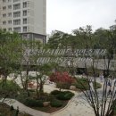 힐스테이트부동산공인중개사사무소 이미지