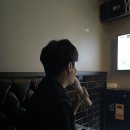 정글비 충남홍성점 이미지