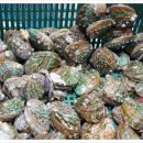 안심이번지 이미지