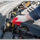 신일정비공업사 이미지