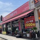 가성비 좋은 소고기집 마장동화로구이 솔직 후기