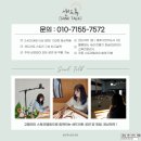 초동초등학교 | [샌드아트 체험] 경남 창원 밀양 초동 초등학교 진로 샌드아트 체험 &amp; 공연