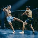 곰주