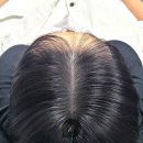 디비전 스칼프 이미지