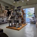 애견용품아울렛 | [강아지와고양이아울렛 석전점] 창원애견용품 민생회복 지원금 사용 후기