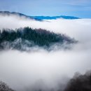 원(인력)개발 이미지
