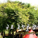 [동파리&캠핑후기]군포 초막골 캠핑장 (5월 30일 ~ 6월 2일) 이미지