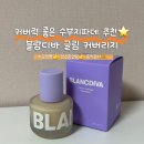 디바 | 건성 수부지 파데추천 블랑디바 글림 파운데이션 후기