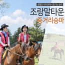 제주조랑말타운 이미지