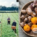 제주의사계 이미지