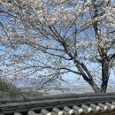 삼성사세탁소 이미지