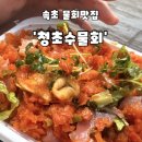 무진장물회 | [강원도/속초]속초 물회맛집 청초수물회 본점 찐내돈내산 솔직후기'청초수물회 속초본점'