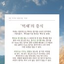 우아한바람