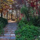 신성행복경로당 이미지