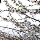 현석농장 이미지