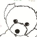 행복한 강아지 이미지