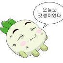 빌라포지타노 이미지