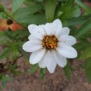 새한주유소 이미지